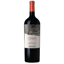 Coyam Magnum 2020